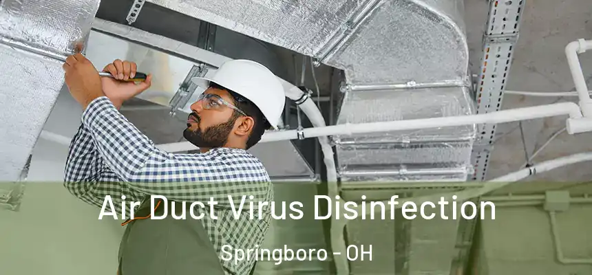  Air Duct Virus Disinfection Springboro - OH