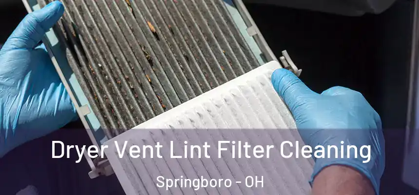  Dryer Vent Lint Filter Cleaning Springboro - OH