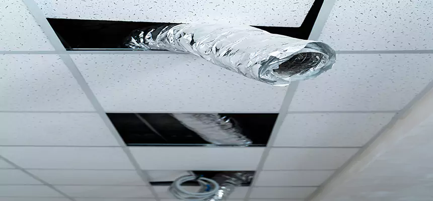 Our Air Duct Pet Hair Removal Services in Springboro, OH