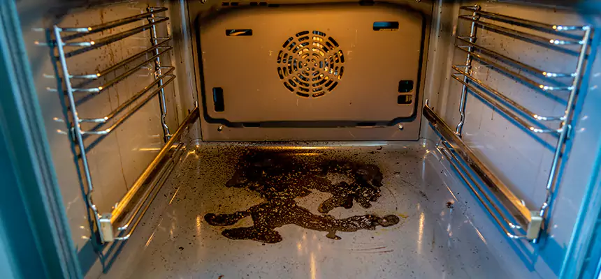 Our Dryer Vent Mold Cleaning Services in Springboro, OH