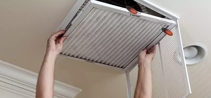 Our Insect Removal from Air Ducts Services in Springboro, OH