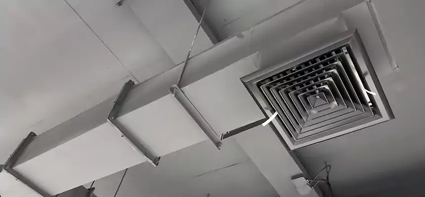 Our Rodent Droppings In Vents Services in Springboro, OH