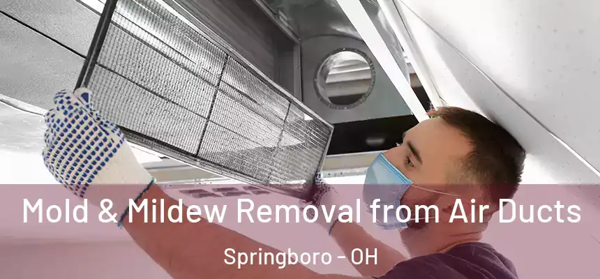  Mold & Mildew Removal from Air Ducts Springboro - OH
