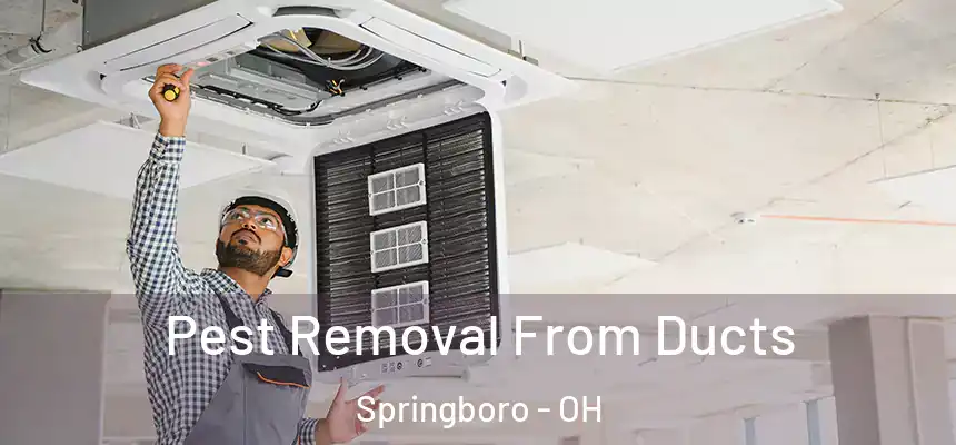  Pest Removal From Ducts Springboro - OH