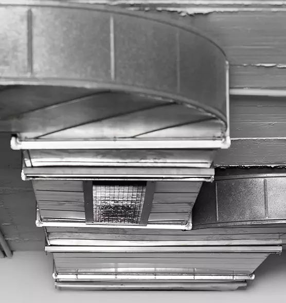 Professional Air Duct Pet Hair Removal in Springboro, OH