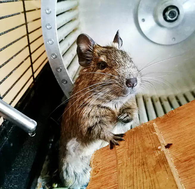 Why Homeowners & Businesses Trust Us Springboro, OH