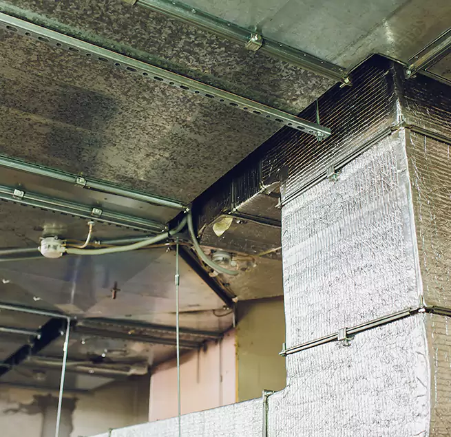 Why Homeowners & Businesses Trust Us in Springboro, OH?